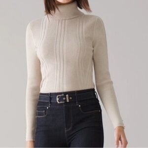 WHBM Transfer-Rib Turtleneck Thick Warm Knit Long-Sleeve Top